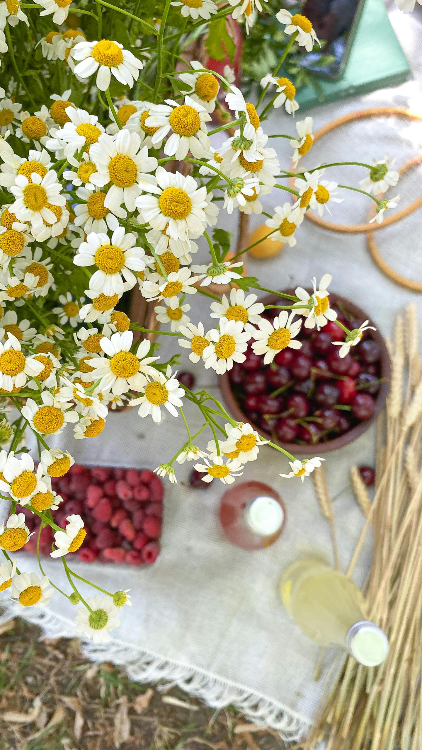 A vibrant picnic setup with chamomile, raspberries, cherries, and a bottle on a sunny summer day. Perfect for outdoor leisure.